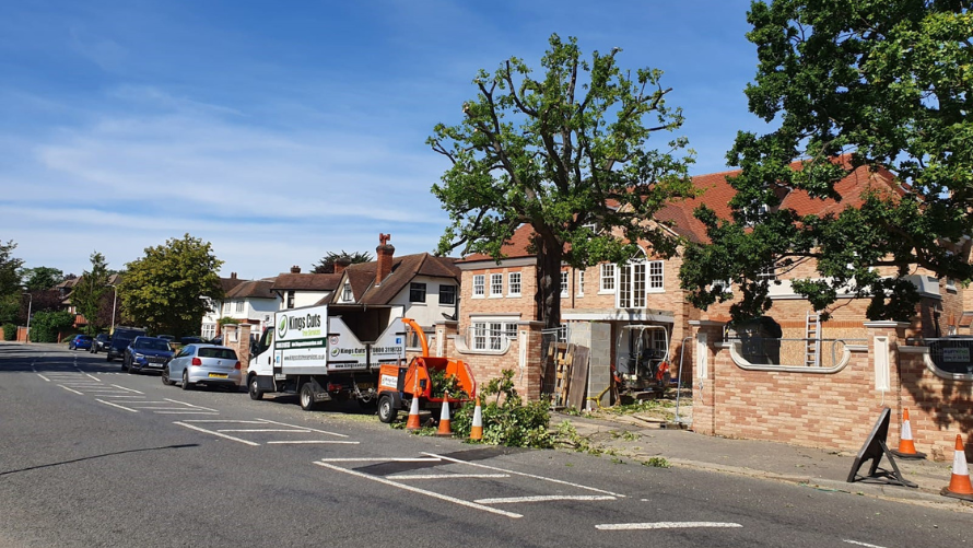 Tree Pruning (Reductions) 