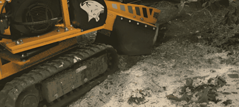 Stump Grinding and Poisoning of Stumps block image