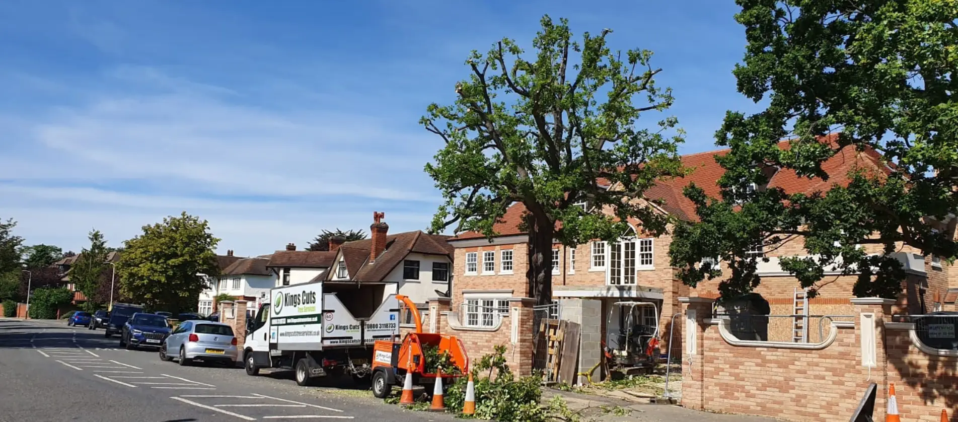 Tree cutting and surgery services Essex