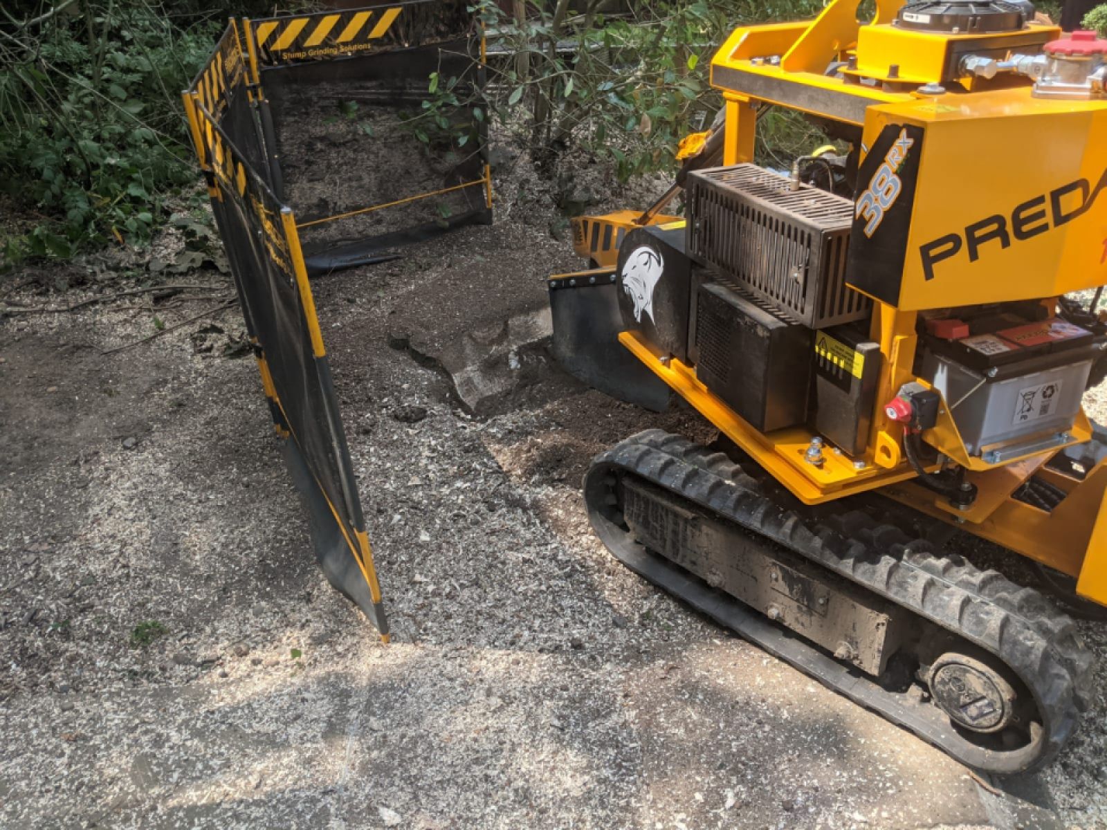 Stump Grinding and Poisoning of Stumps