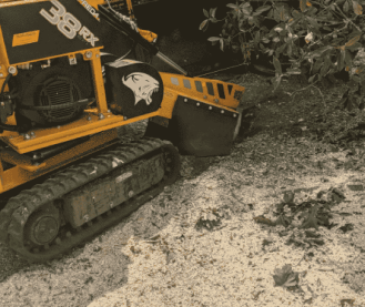 Stump Grinding and Poisoning of Stumps